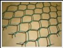 Hexagonal Wire Mesh